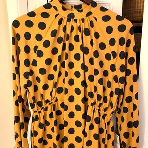 ‼️NWT fun Zara polka dot top, size LARGE‼️